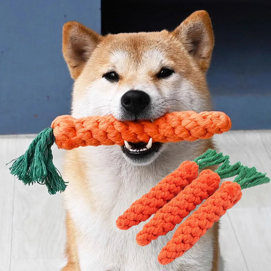 Fun Carrot Chew Rope Toy